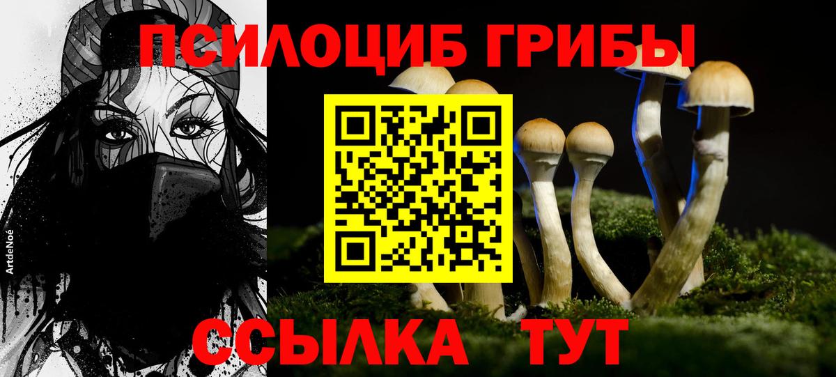 Галлюциногенные грибы прущие грибы  Вход с VPN  Великий Устюг 