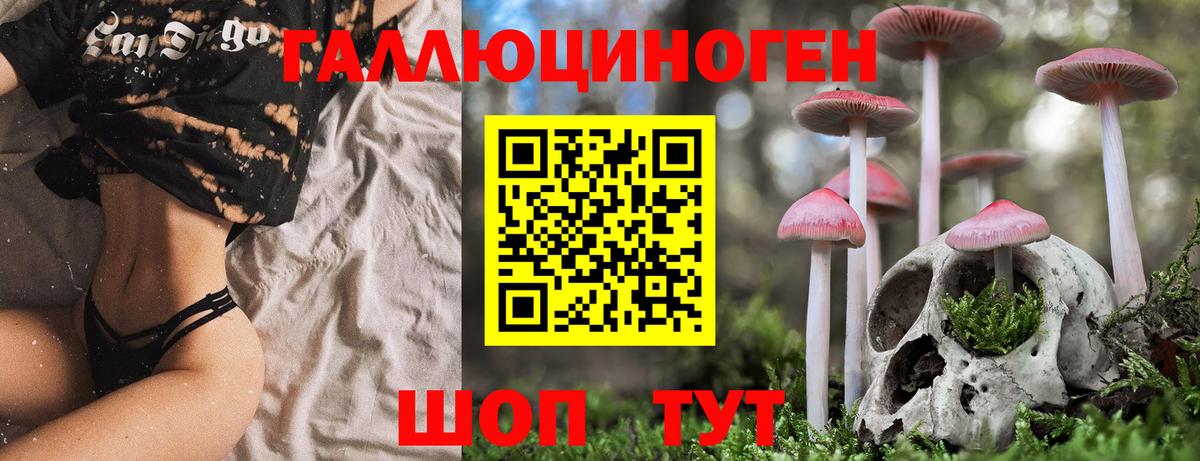 Галлюциногенные грибы ЛСД Великий Устюг